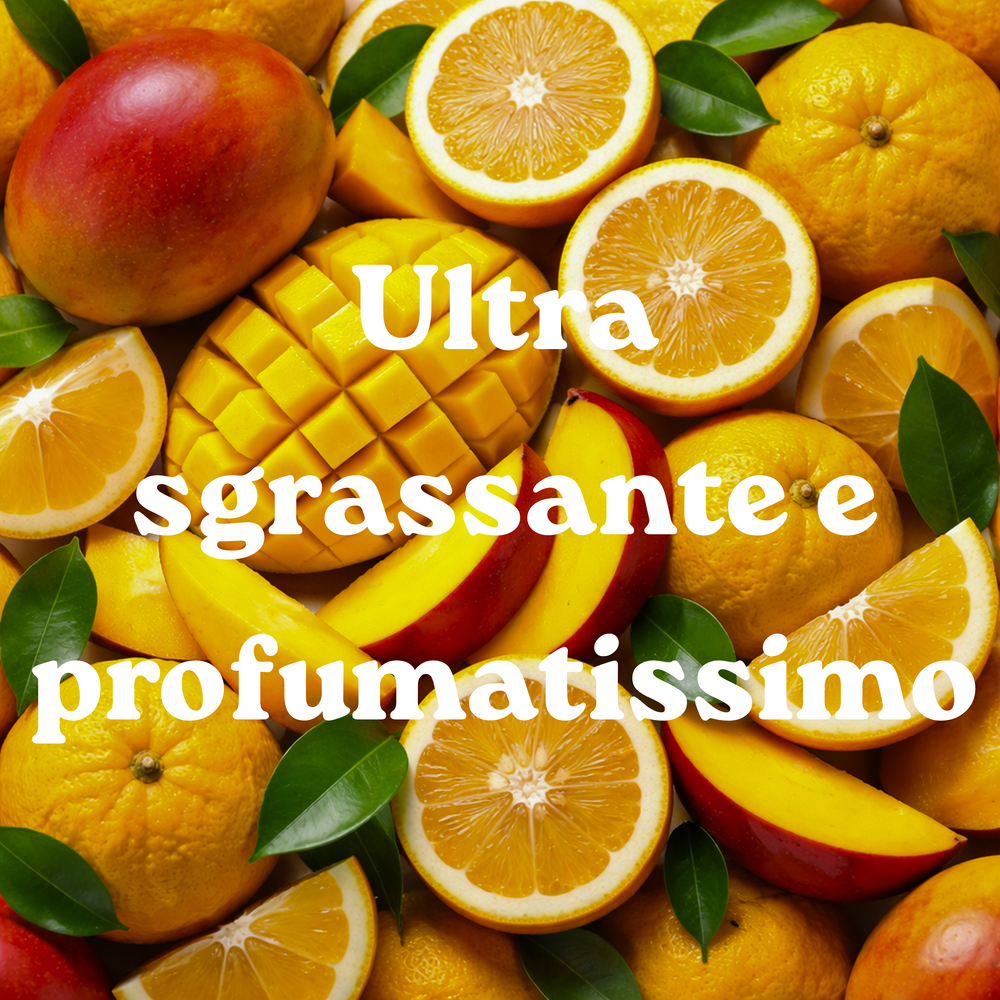 Ricarche Sapone Piatti Mango Yuzu (x4)