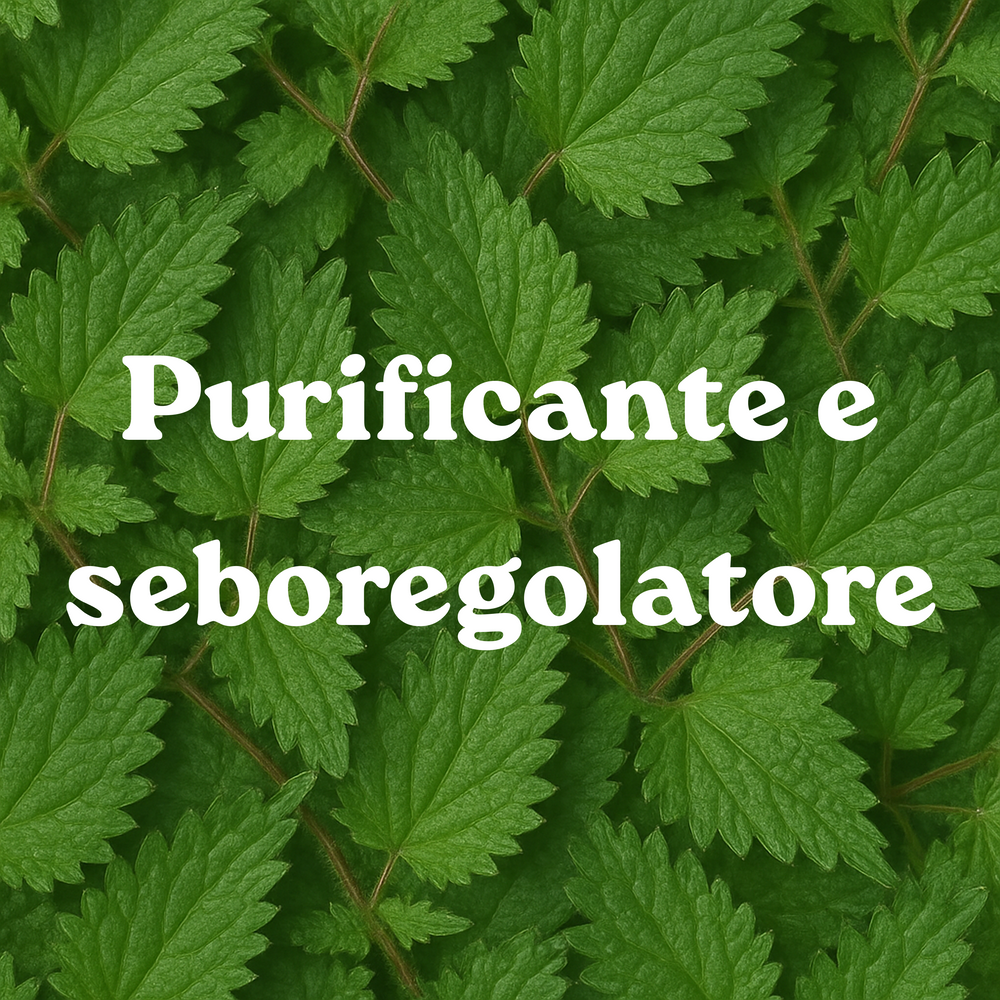 Kit Shampoo Purificante all’Ortica