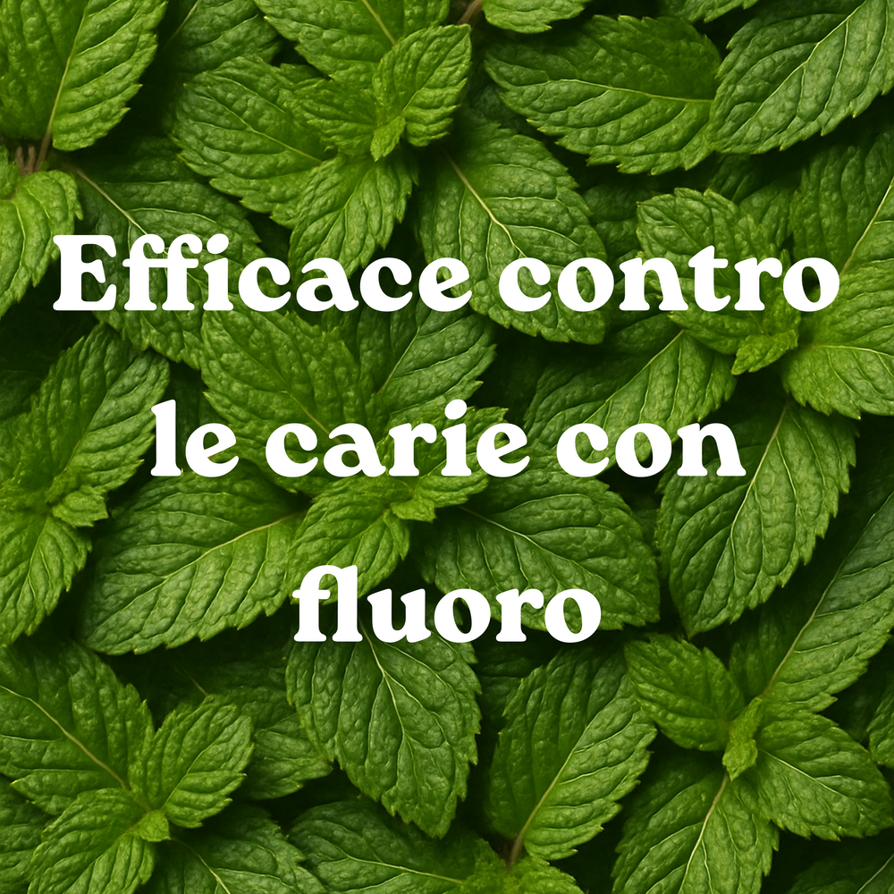 Ricarica Dentifricio Menta Fresca (x1)