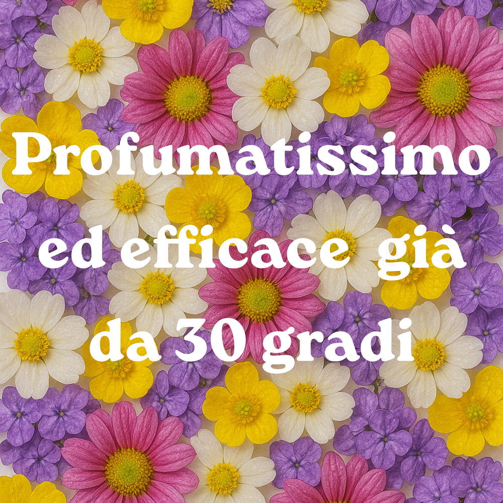 Kit Detersivo universale Freschezza Primaverile